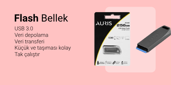 Flash Bellek